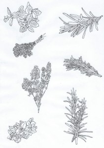 Χαρτι περιτυλίγματος